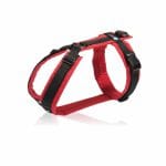 4 Unique Dogs Anny-X Brustgeschirr Fun