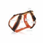 Anny-X Brustgeschirr Protect leuchtorange / braun