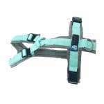 Anny-X Brustgeschirr Fun Sonderfarbe grau / mint