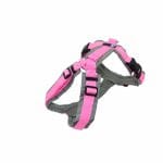 Anny-X Brustgeschirr Fun Sonderfarbe grau / rosa