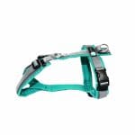 AnnyX Brustgeschirr Fun Sonderfarbe petrol / grau