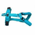 AnnyX Brustgeschirr Fun Sonderfarbe petrol / petrol