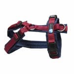 Anny-X Brustgeschirr Fun Sonderfarbe marine / bordeaux