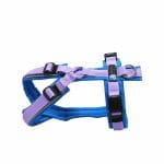 Anny-X Brustgeschirr Fun Reflectiv lichtblau / flieder