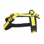 Anny-X Brustgeschirr Fun Sonderfarbe schwarz / gelb