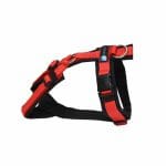 Anny-X Brustgeschirr Fun schwarz / rot