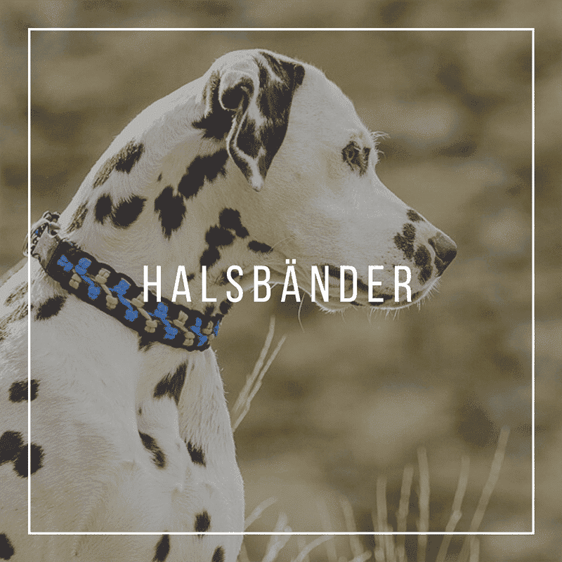 Halsbänder