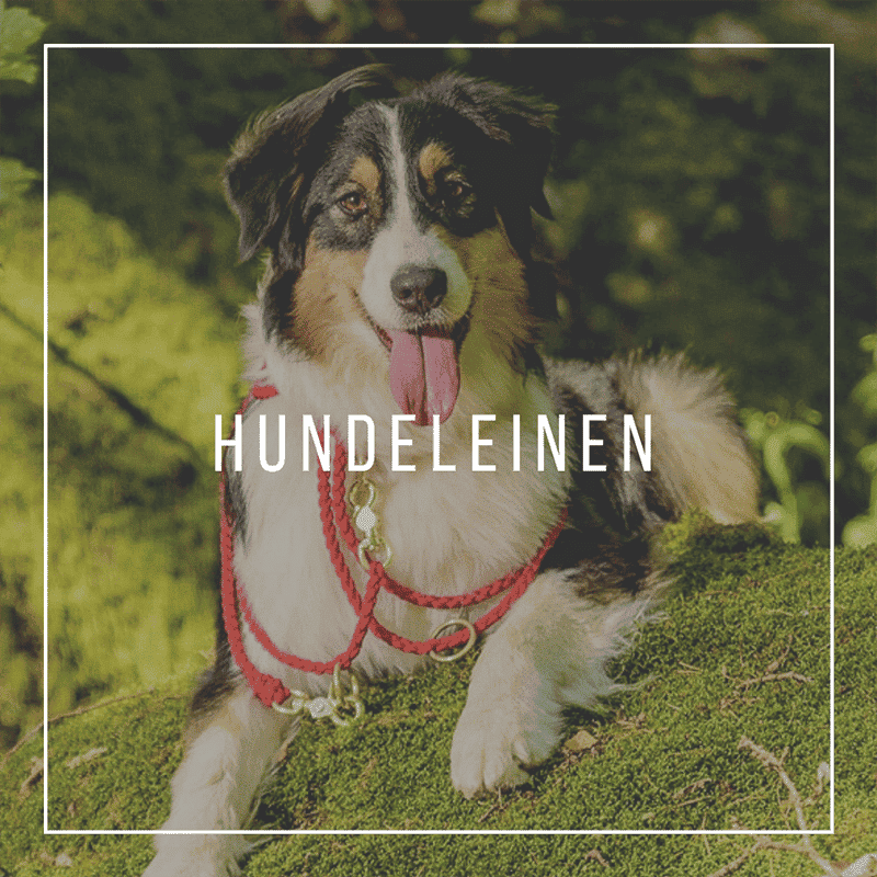 Hundeleinen