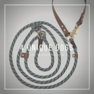 4UniqueDogs.com 4in1 Leine Country Chic