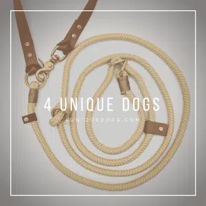 4UniqueDogs.com 4in1 Leine Golden Chic