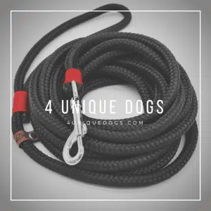4UniqueDogs.com BAT Leine Black-Red