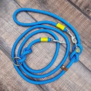 4UniqueDogs Leine Ukraine