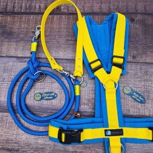 4UniqueDogs Leine Ukraine mit Biothane