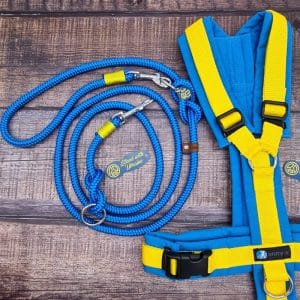 4UniqueDogs Leine Ukraine