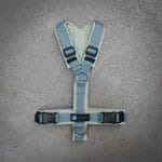 Anny-X Brustgeschirr Fun Sonderfarbe salbei / taubenblau