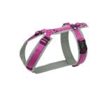 Anny-X Brustgeschirr Fun grau / pink