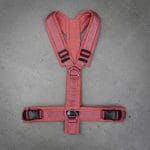 Anny-X Brustgeschirr Fun Sonderfarbe koralle / malve